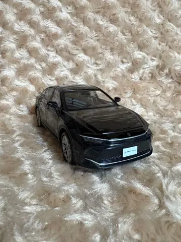 도요타 크라운 컬러 샘플