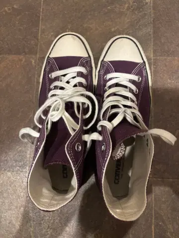 Converse All Star 퍼플 스니커즈