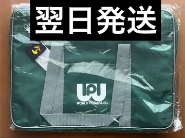 월드 페가수스 스쿨백 그린 컬러 그린 스쿨백 와페 구 와페