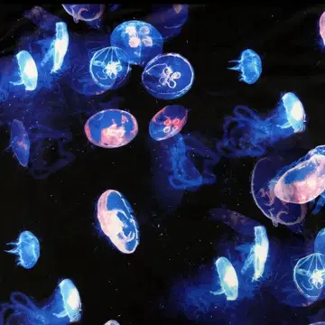 NieR 기모노 소매풍 ZIP OUTER [해월]