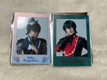 앙스테 BM 폴라로이드풍 카드 카게히라 미카 이노 히로키