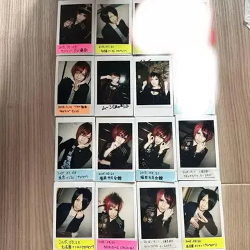 R 지정 Z 씨 폴라로이드 15장