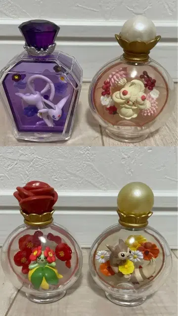 포켓몬 프티 플뢰르 세트