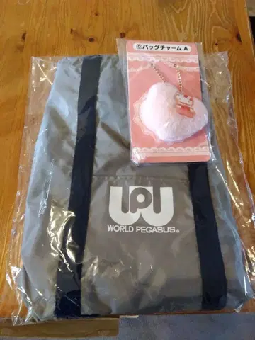 WORLD PEGASUS 그레이 백팩