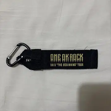 ONE OK ROCK 2012년 투어 키링