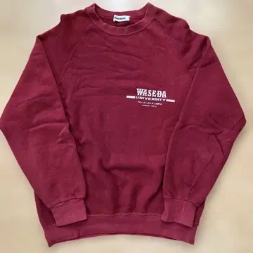WASEDA UNIVERSITY 맨투맨 트레이닝복 와세다 대학교 레어템