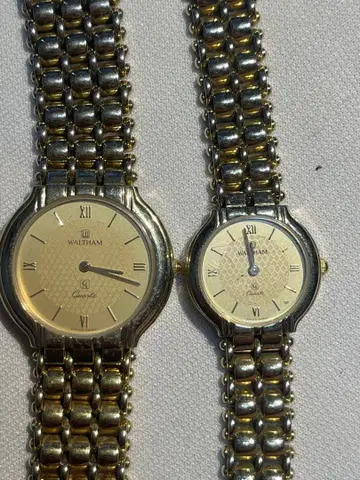 Waltham 클래식 페어 워치