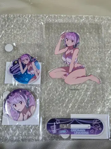 신조 아카네 아크릴 스탠드 [ 그리드맨 유니버스 ] 나이트 풀 ver.