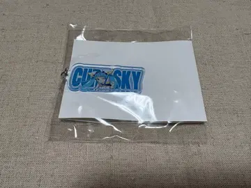 프리큐어 타워 레코드 카페 오나마에 키링 스카이