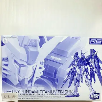 건담 프라모델 rg 데스티니 건담 티타늄 피니쉬 미조립 내부 가방 미개봉