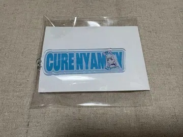 프리큐어 타워 레코드 카페 이름 키링 냐미