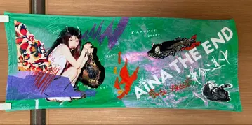 아이나 지 엔드 혁명도중 타월