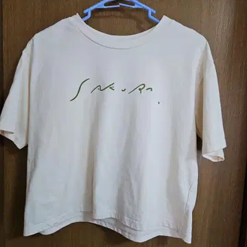 팔라스 팰리스 크롭 반팔 셔츠