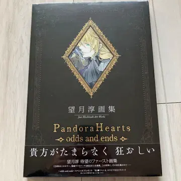 미개봉 모치즈키 준 판도라 하츠 화집