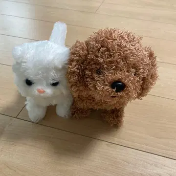 개와 고양이 봉제 인형 세트