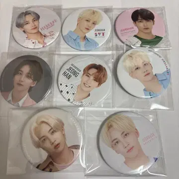 SEVENTEEN 캔뱃지 정한 8개 세트