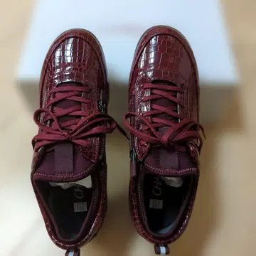 CHARLE 지퍼 달린 버건디 스니커즈