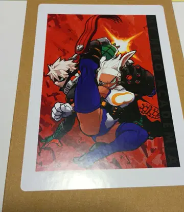 미사용 새상품 히로아카 아크릴 아트 보드 F 바쿠고 미르코