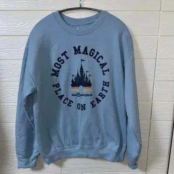 월트 디즈니 월드의 로고와 신데렐라 성