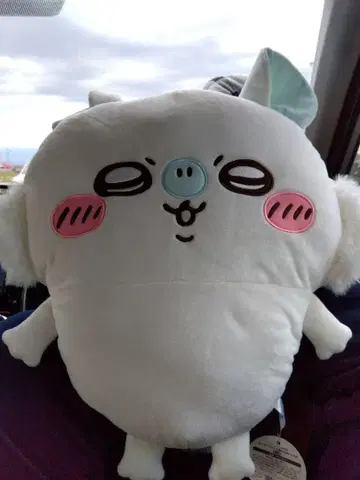 치이카와 빅 봉제 인형