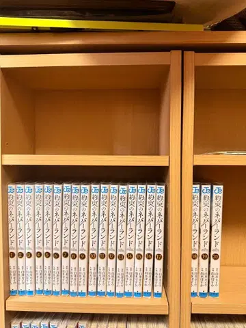 약속의 네버랜드 전권