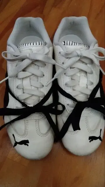 PUMA SPEED CAT LEAX ROSE 스피드캣 스니커즈