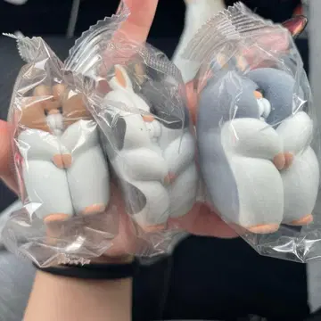 스끼마 햄스터 재판매