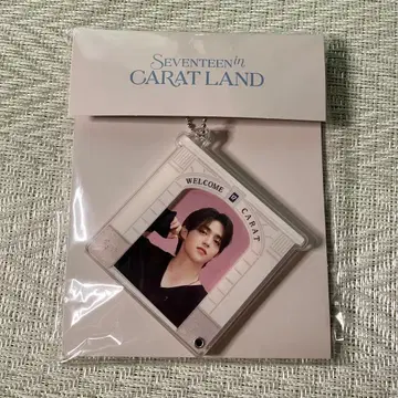 세븐틴 에스쿱스 캐럿랜드 아크릴 포토 키링