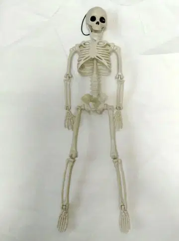 미니 해골 피규어 약 15cm 가동식