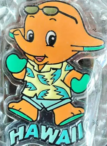 하와이 아크릴 키링