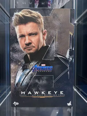 핫토이즈 호크아이