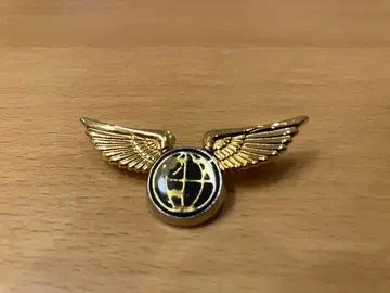 [레어] J's 점보 오자키 지구본 더블 윙 브로치