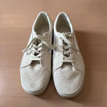 VANS SK8 LOW Contrast Bone White