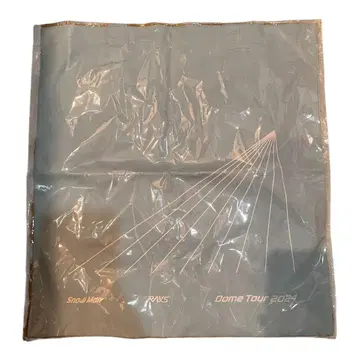 Snow Man RAYS Dome Tour 2024 백