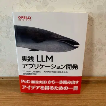 실전 LLM 어플리케이션 개발