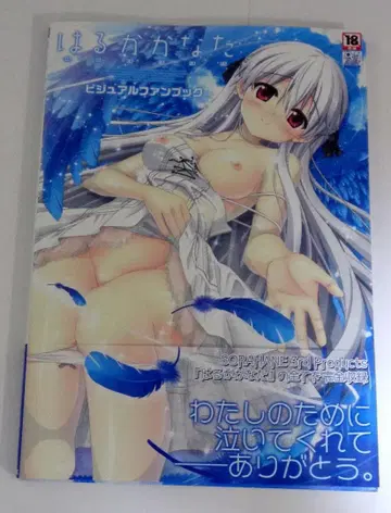 하루카 카나타 비주얼 팬북