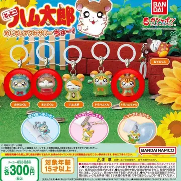 달려라 하니 메지루시 액세서리 츄! 3세트