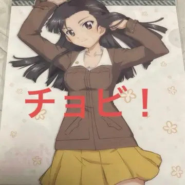 걸즈 앤 판처 걸판 니시누노 실크 클리어 파일