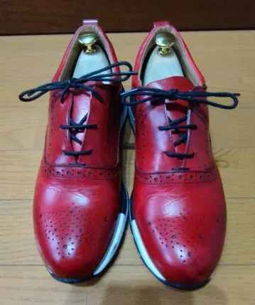 새상품급 이탈리아제 가죽 메달리온 스니커즈