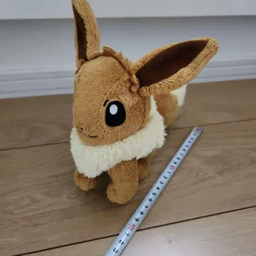 포켓몬 이브이 봉제 인형