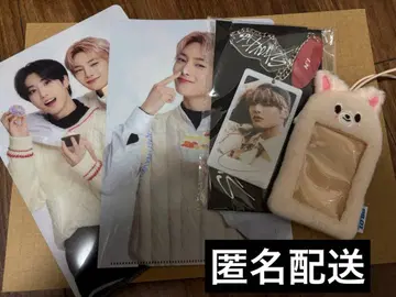 StrayKids 스키즈 아이엔 트레이딩 카드 케이스 백참