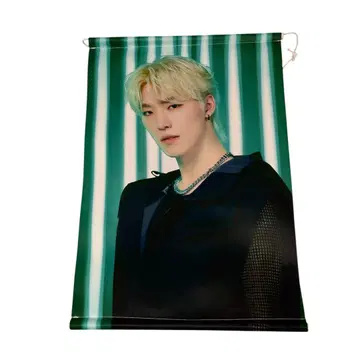 디노 Follow 태피스트리