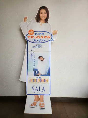 SALA 매장용 팝 아베 나츠미