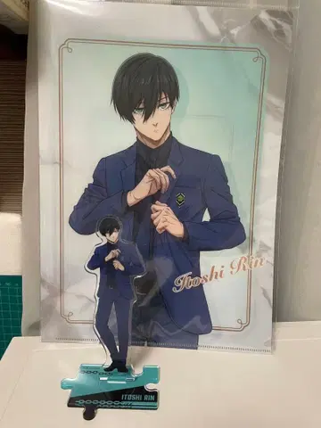 최종 가격 블루 록 에고전 린 아크릴 스탠드 클리어 파일 세트