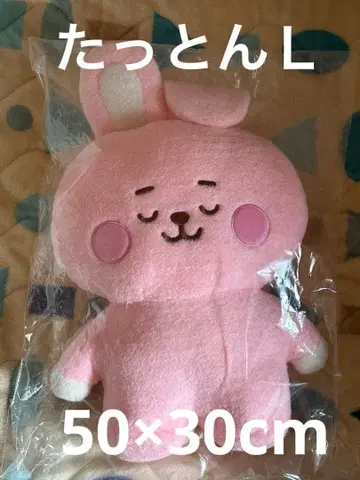 BT21_BABY COOKY L