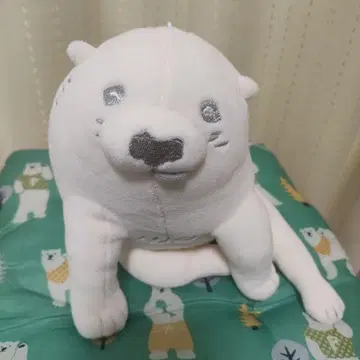 펠리시모 에도 강아지 료세츠견 나가사와 료세츠