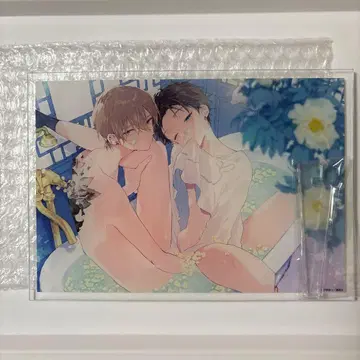 하레루야 베이비 점 전시 아크릴 플레이트 A5