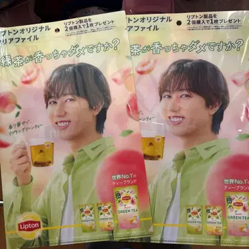 Lipton 클리어 파일 2장 세트