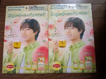 Lipton 클리어 파일 2장 세트