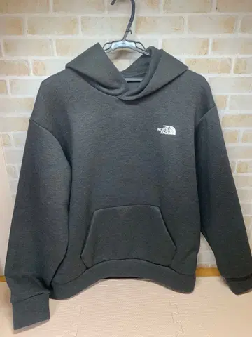 THE NORTH FACE 그레이 후드티 XL